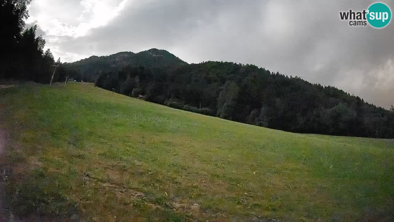 Esquí Kranjska Gora | Brsnina