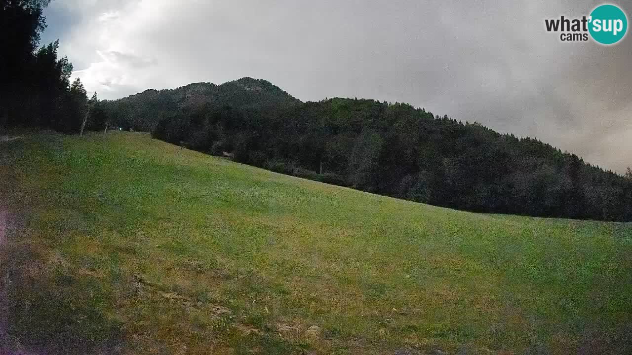 Esquí Kranjska Gora | Brsnina