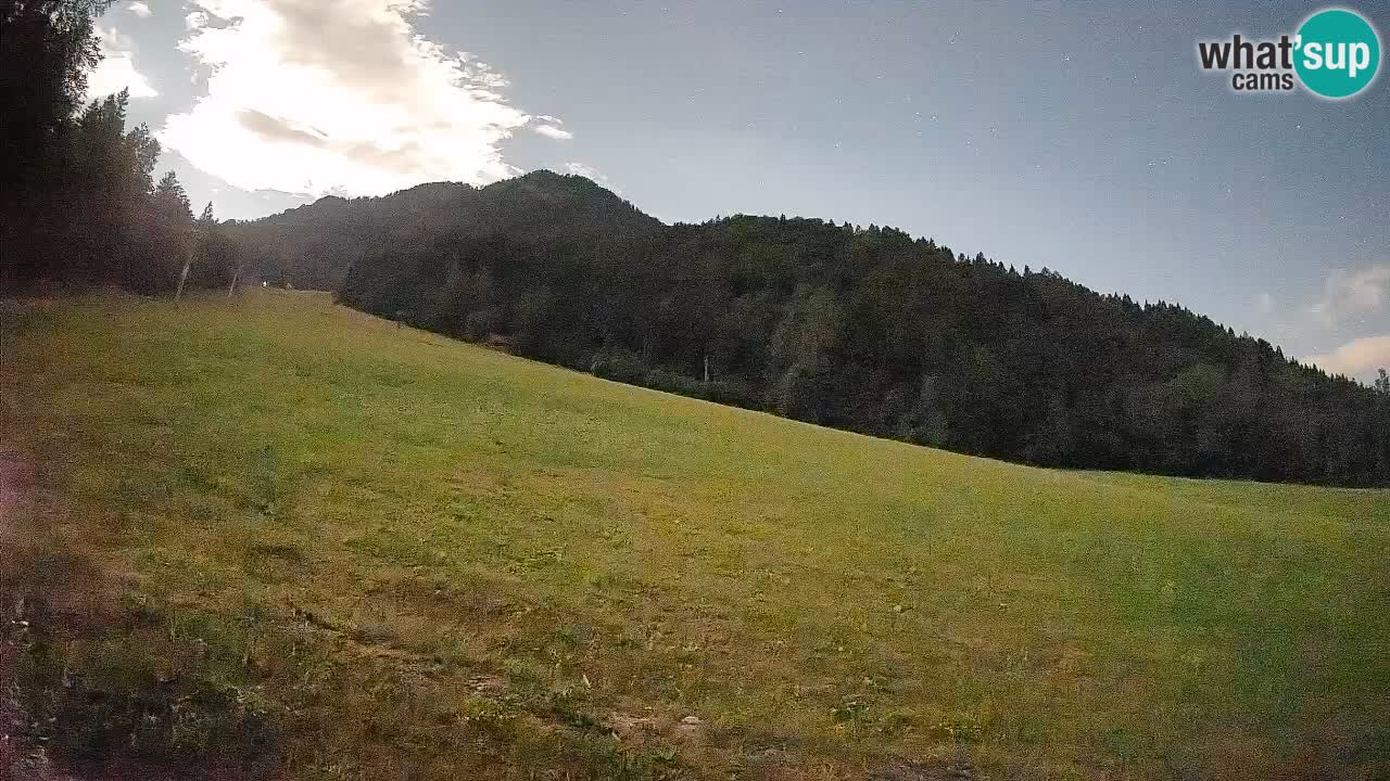 Ski Kranjska Gora | Brsnina