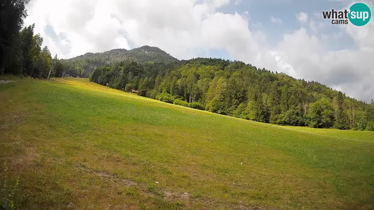 Comprensorio sciistico Kranjska Gora | Brsnina