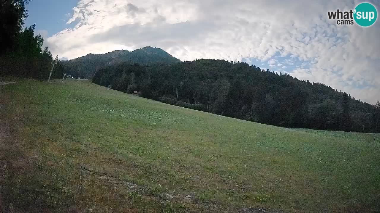 RTC Skigebiet Kranjska Gora | Brsnina