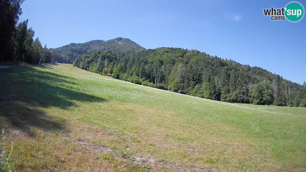 RTC Kranjska Gora | Brsnina