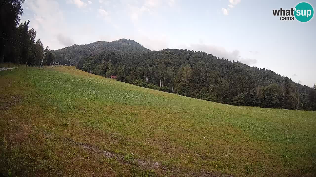 Comprensorio sciistico Kranjska Gora | Brsnina
