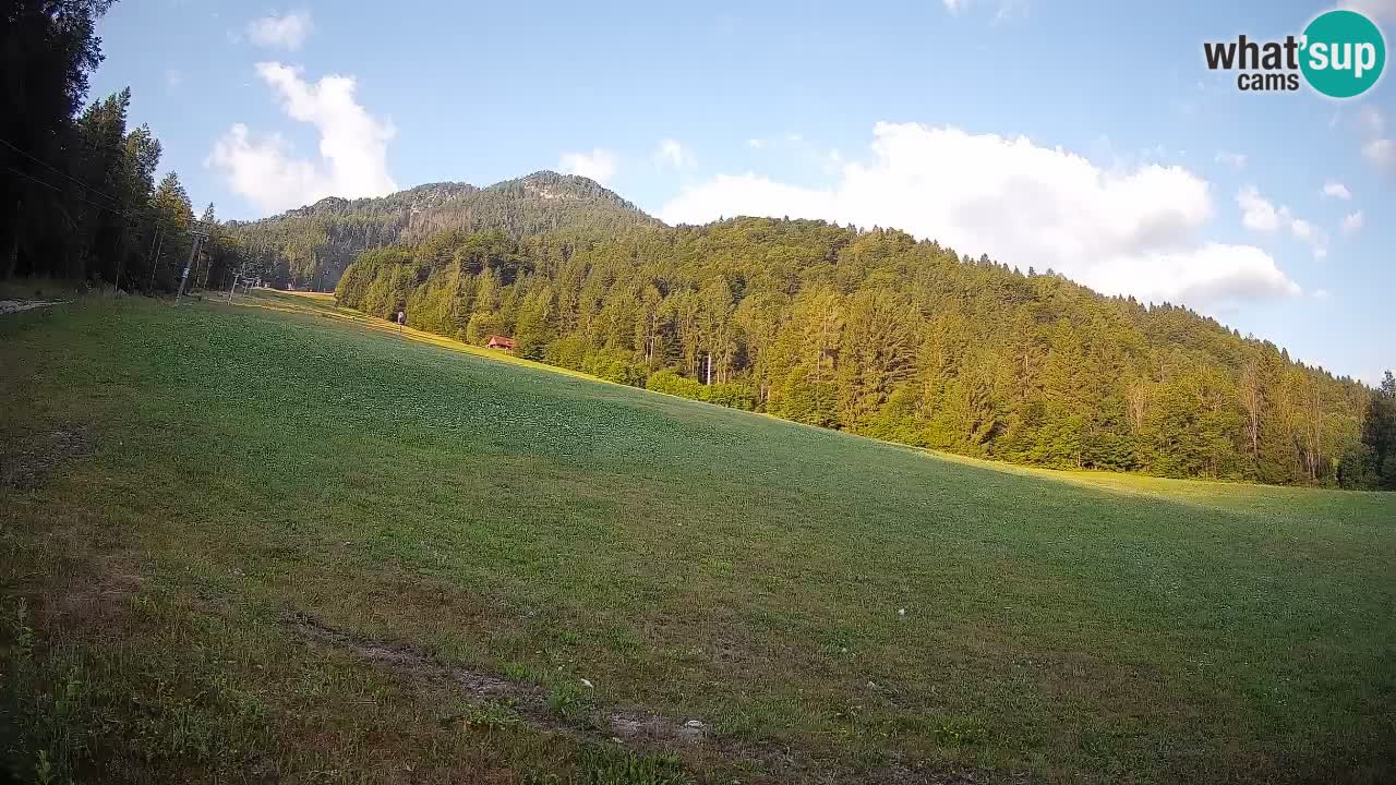 RTC Kranjska Gora | Brsnina