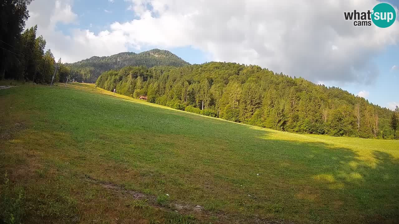 RTC Skigebiet Kranjska Gora | Brsnina