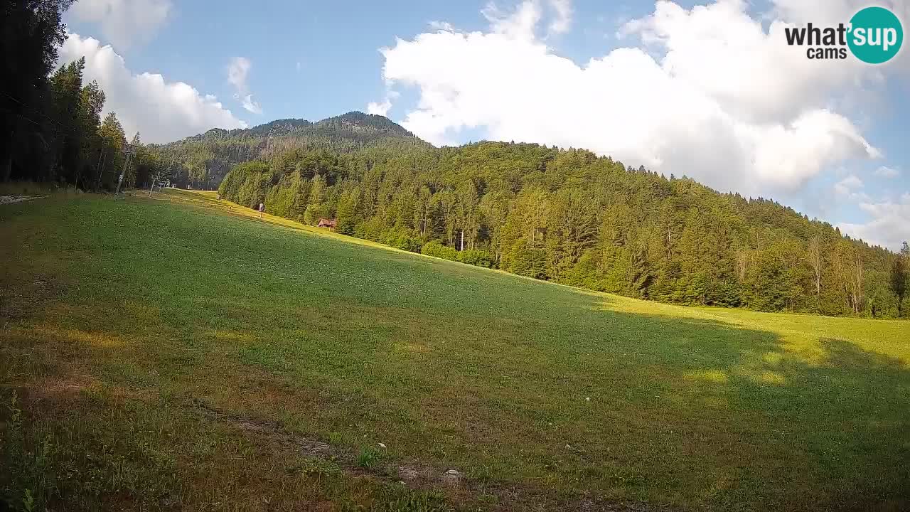 RTC Skigebiet Kranjska Gora | Brsnina