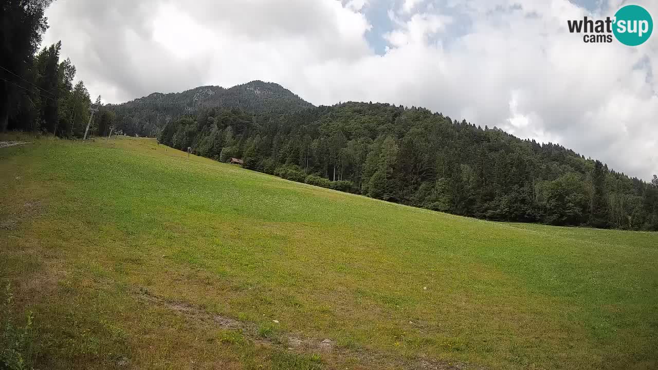 Ski Kranjska Gora | Brsnina