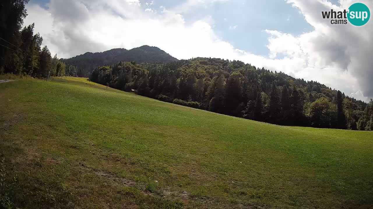 Comprensorio sciistico Kranjska Gora | Brsnina