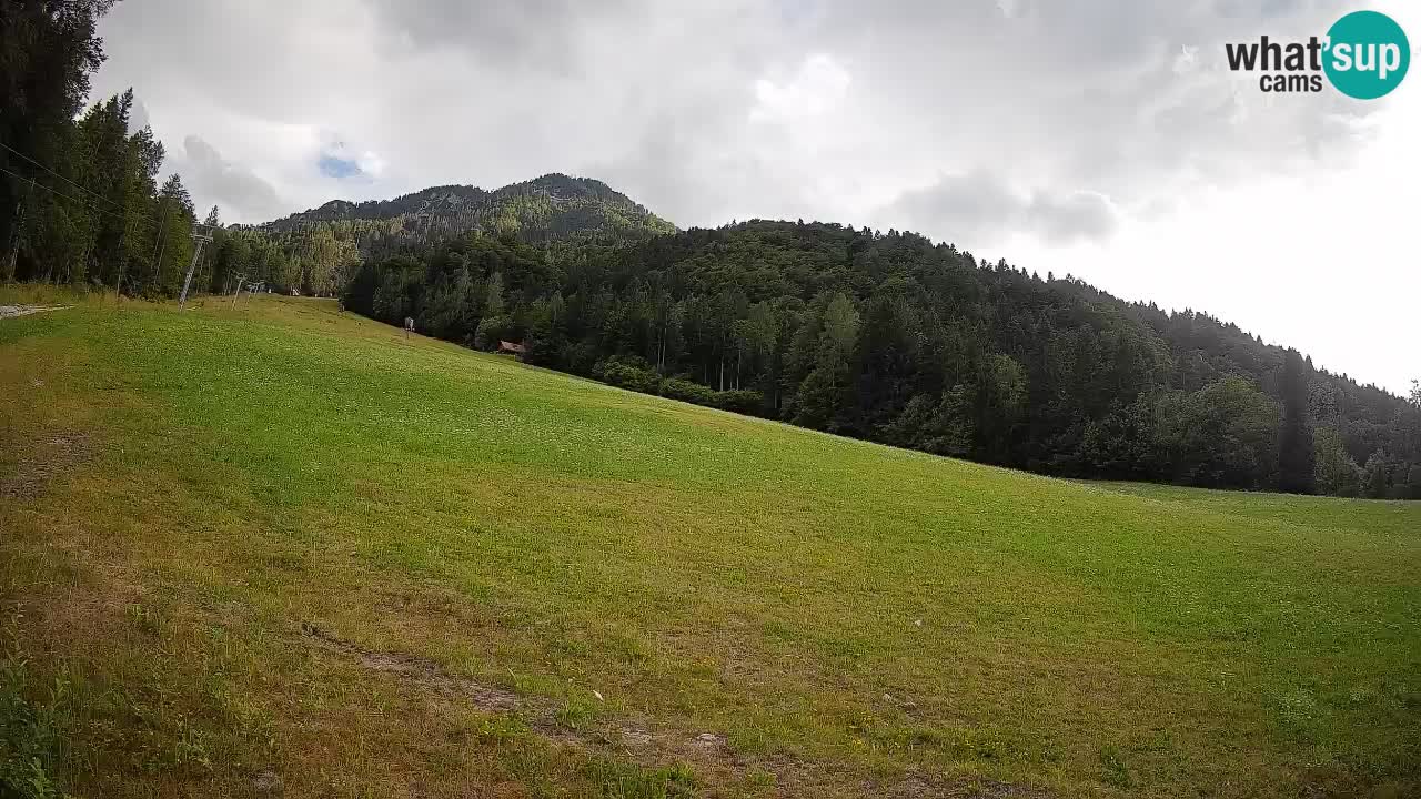 Kranjska Gora Station de ski | Brsnina
