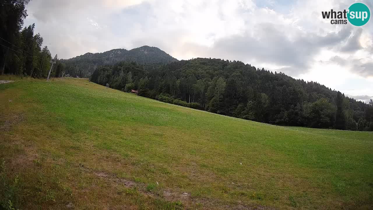 Ski Kranjska Gora | Brsnina
