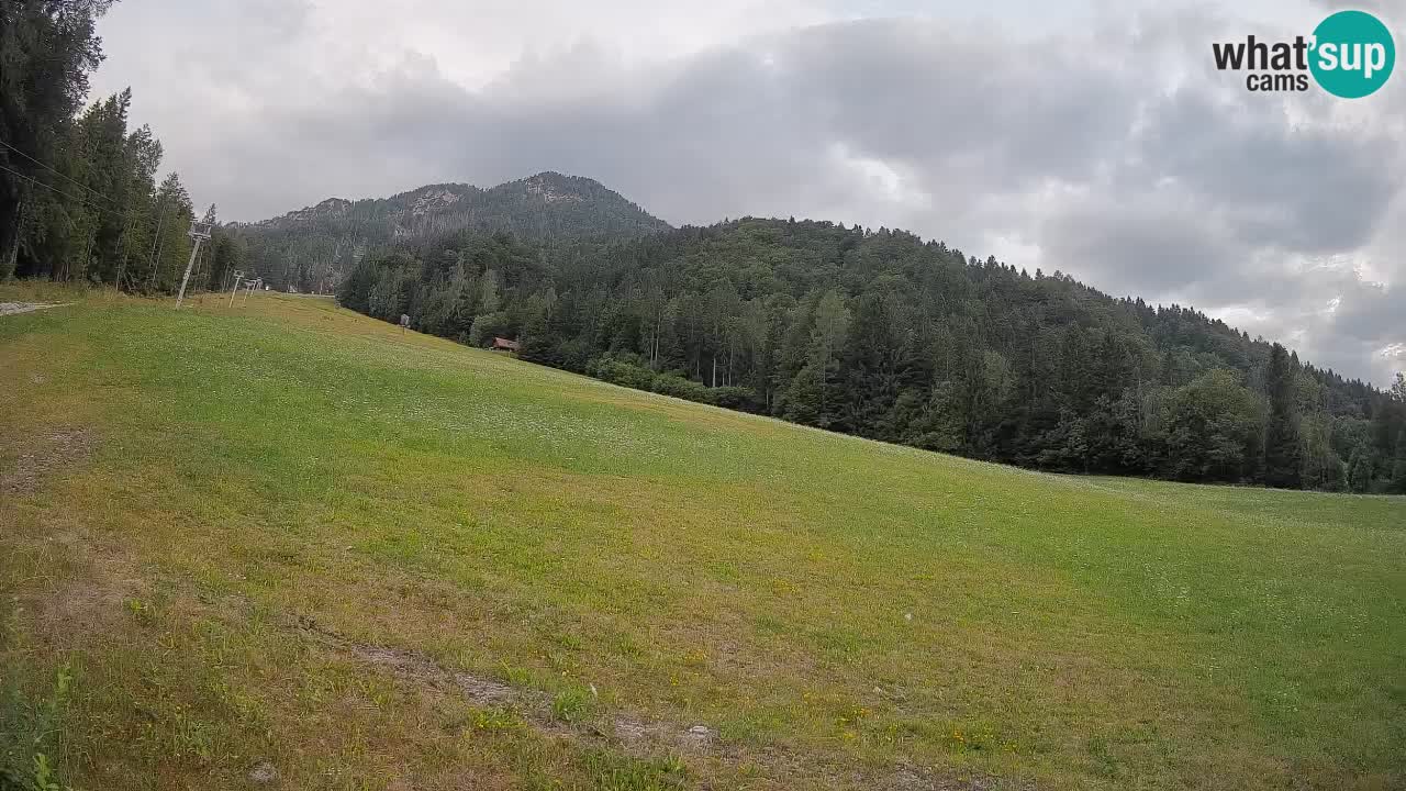 Kranjska Gora Station de ski | Brsnina