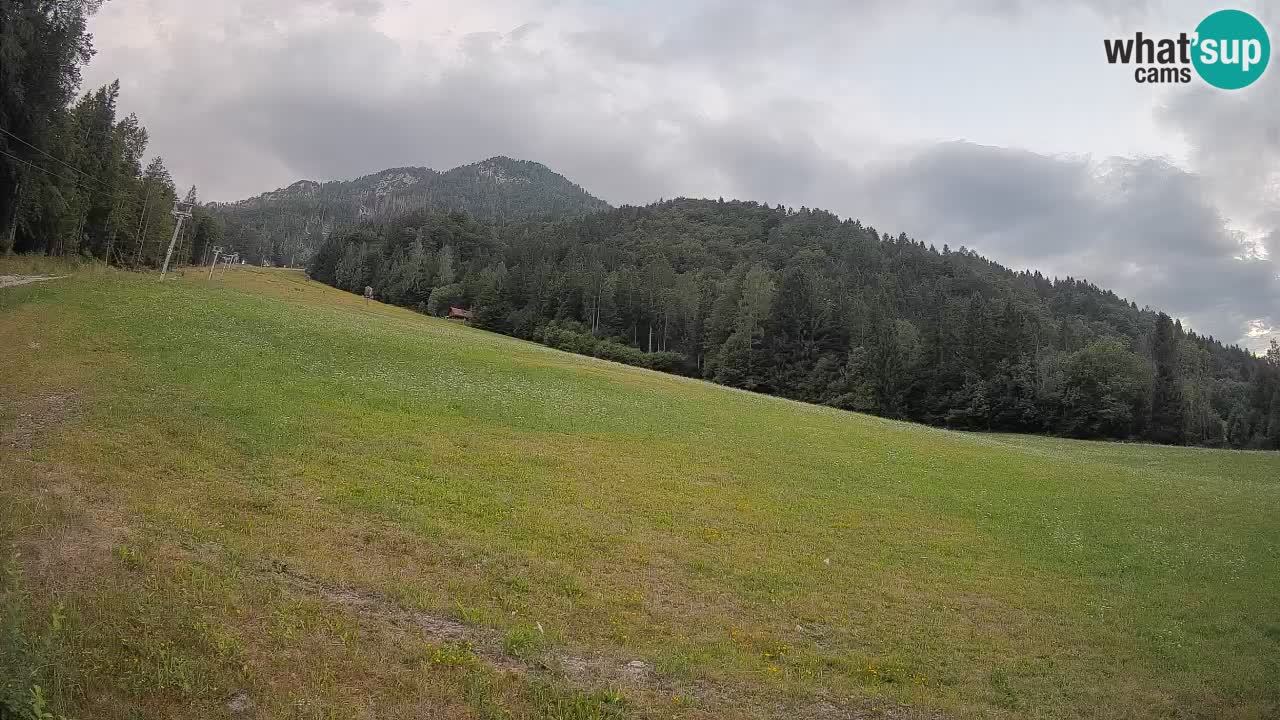 Kranjska Gora Station de ski | Brsnina