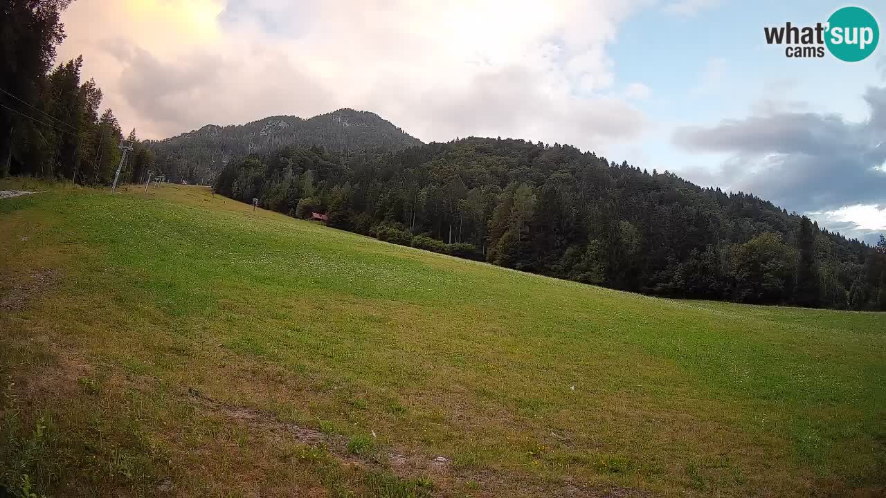 Kranjska Gora Station de ski | Brsnina
