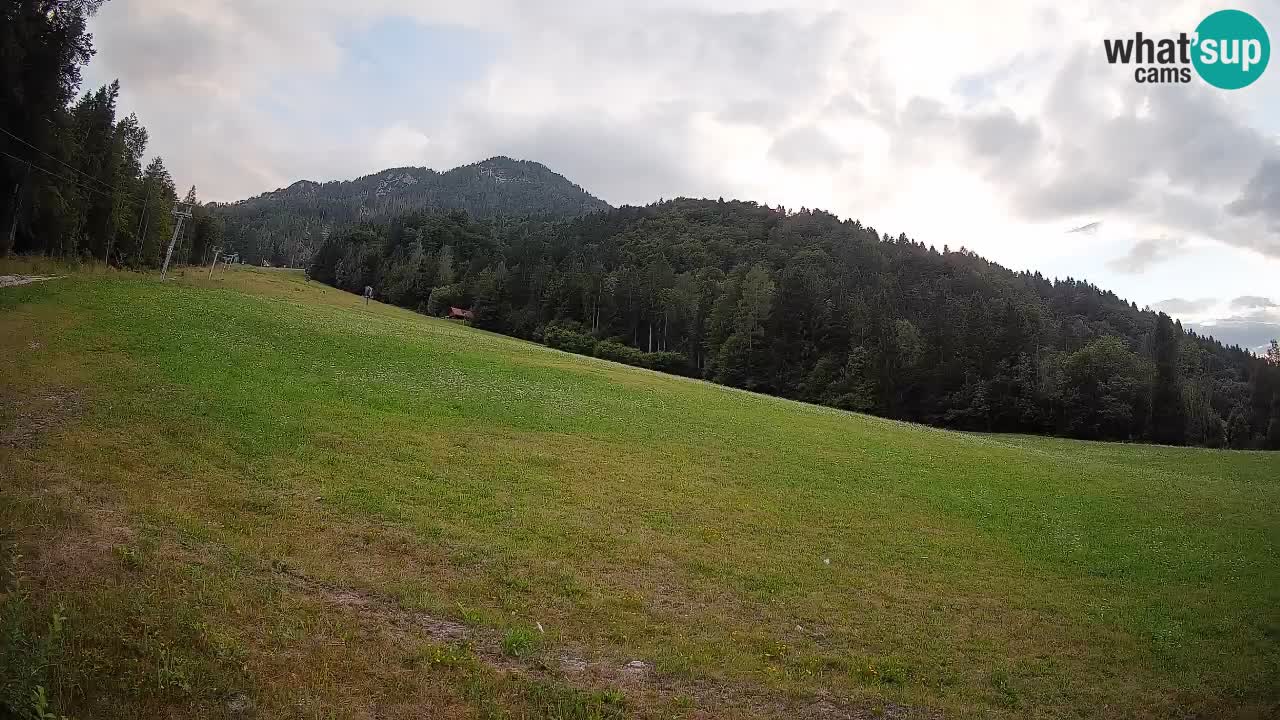 Ski Kranjska Gora | Brsnina