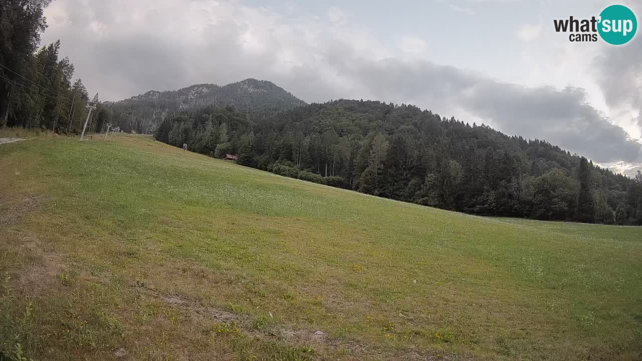 Comprensorio sciistico Kranjska Gora | Brsnina