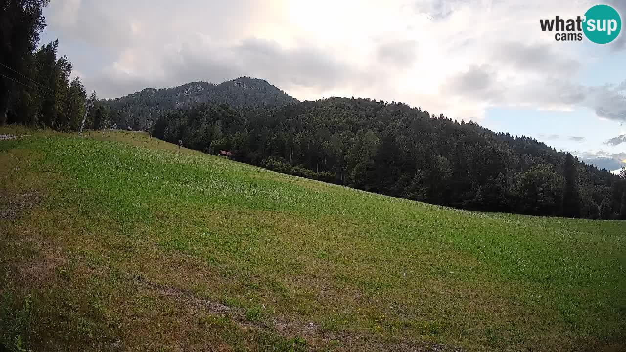 Esquí Kranjska Gora | Brsnina