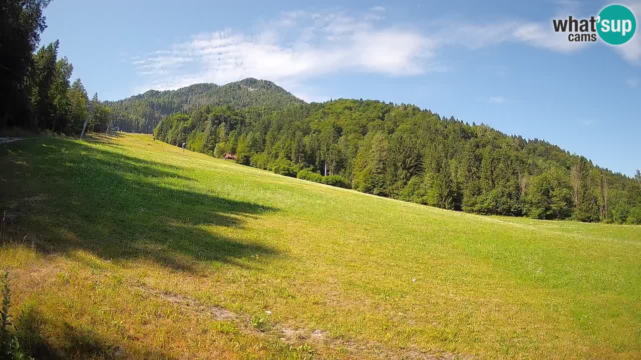 Comprensorio sciistico Kranjska Gora | Brsnina