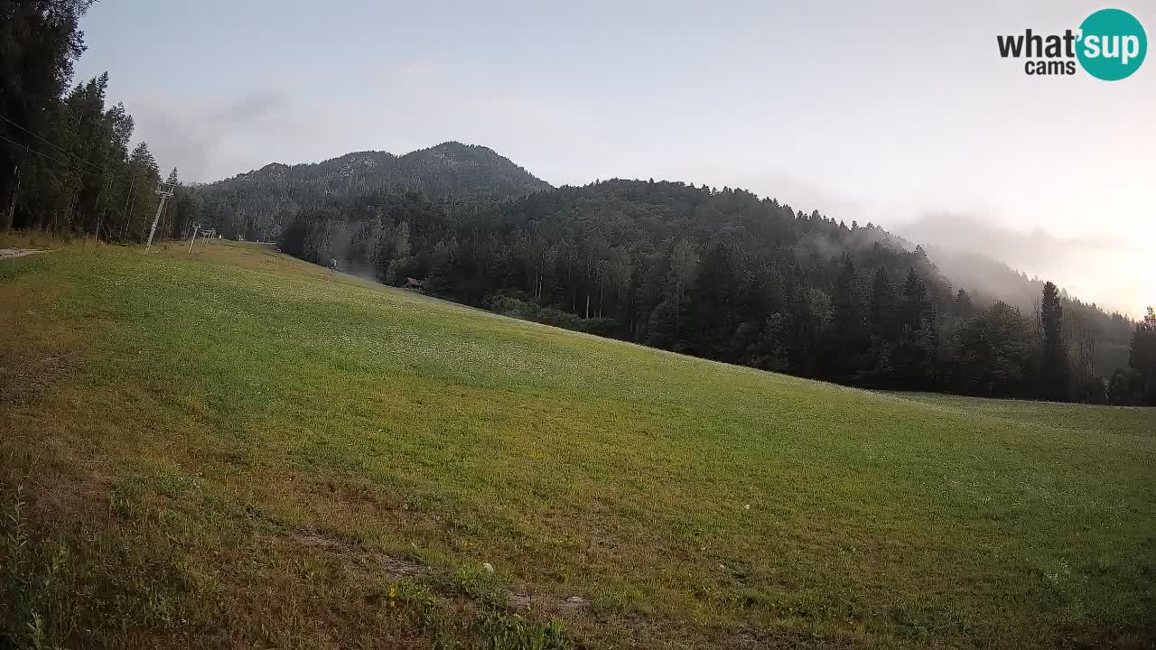 Kranjska Gora Station de ski | Brsnina