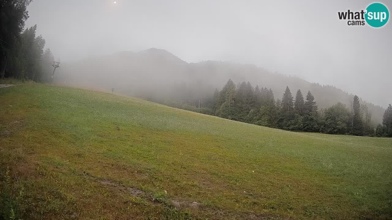 Comprensorio sciistico Kranjska Gora | Brsnina