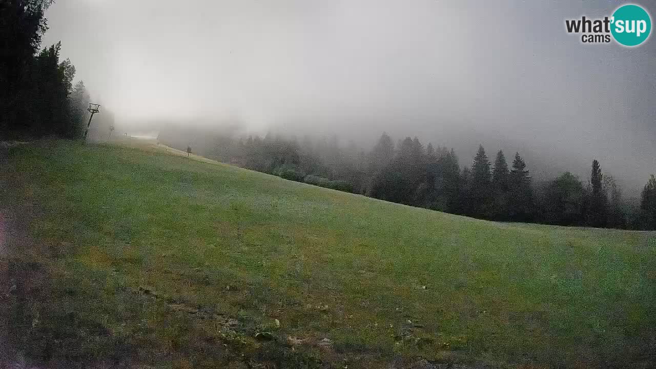Comprensorio sciistico Kranjska Gora | Brsnina