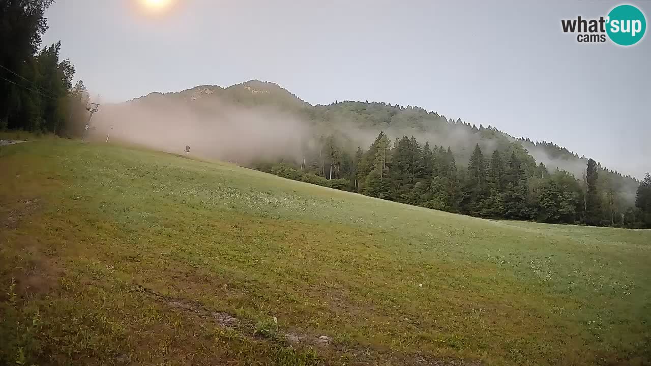 Kranjska Gora Station de ski | Brsnina