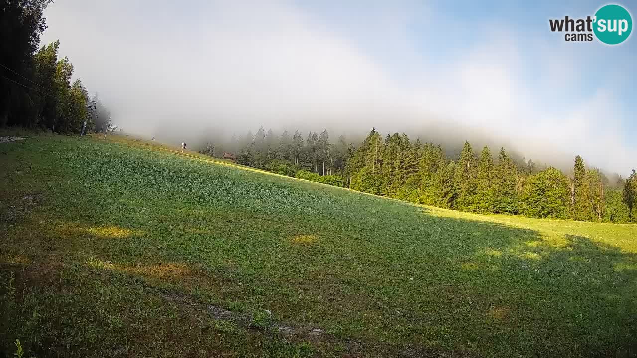 Esquí Kranjska Gora | Brsnina