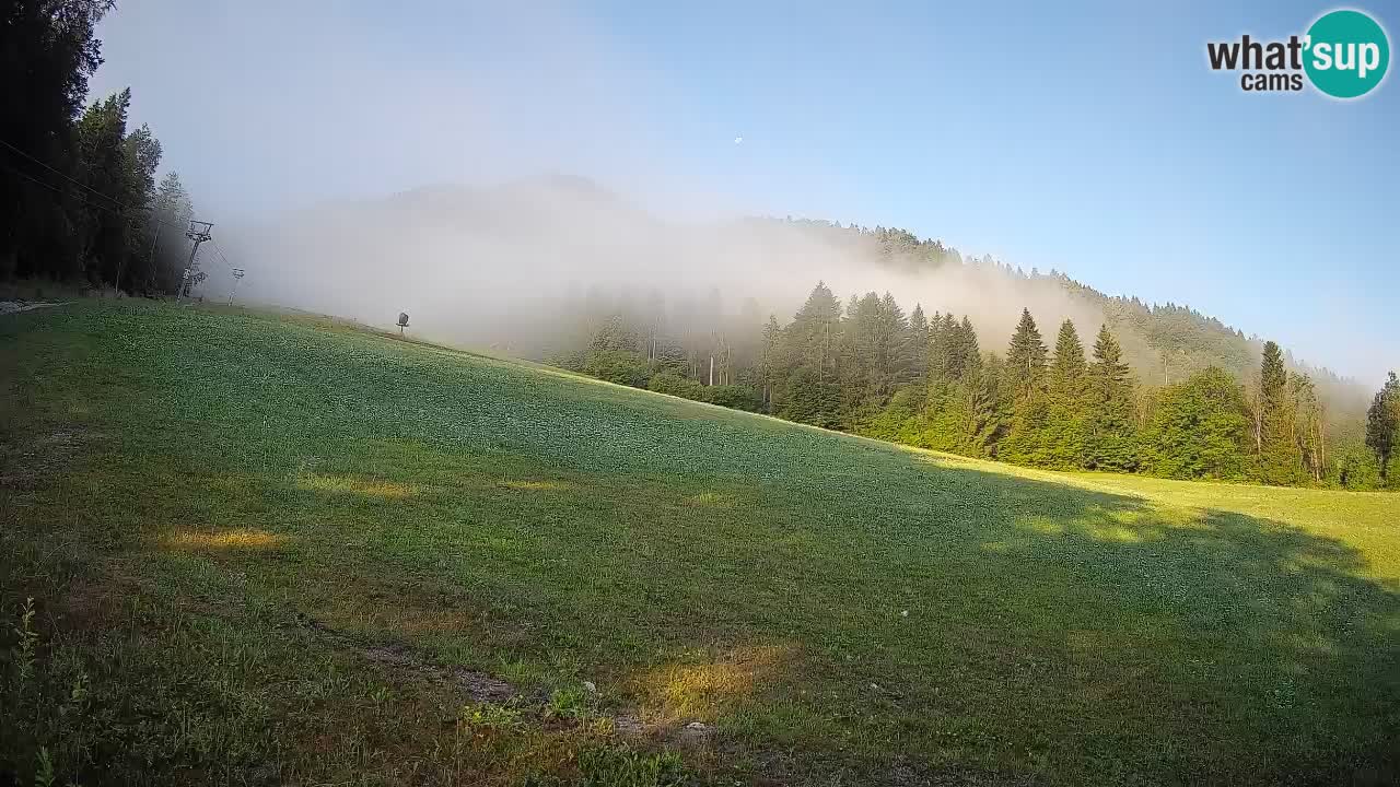 Kranjska Gora Station de ski | Brsnina