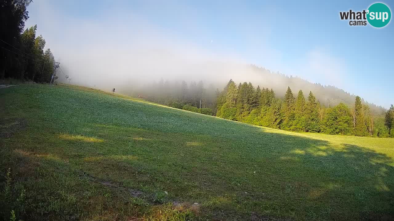 RTC Kranjska Gora | Brsnina