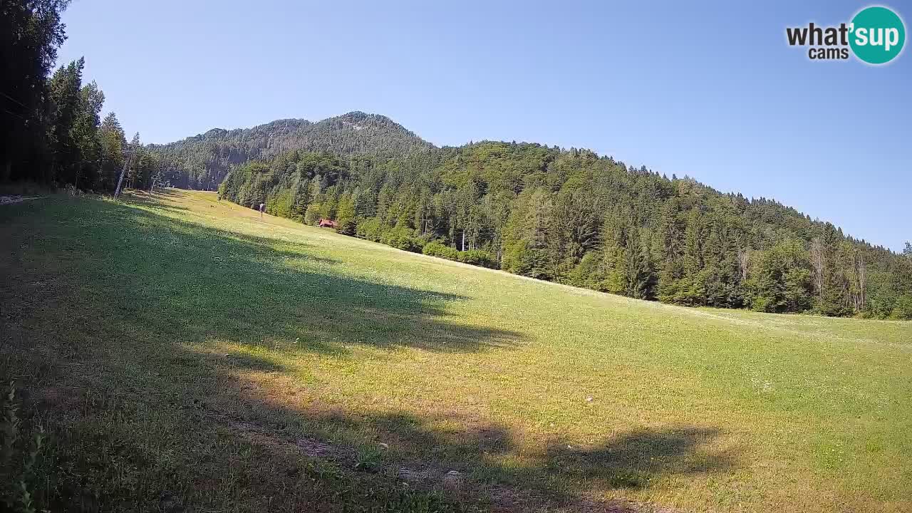Ski Kranjska Gora | Brsnina