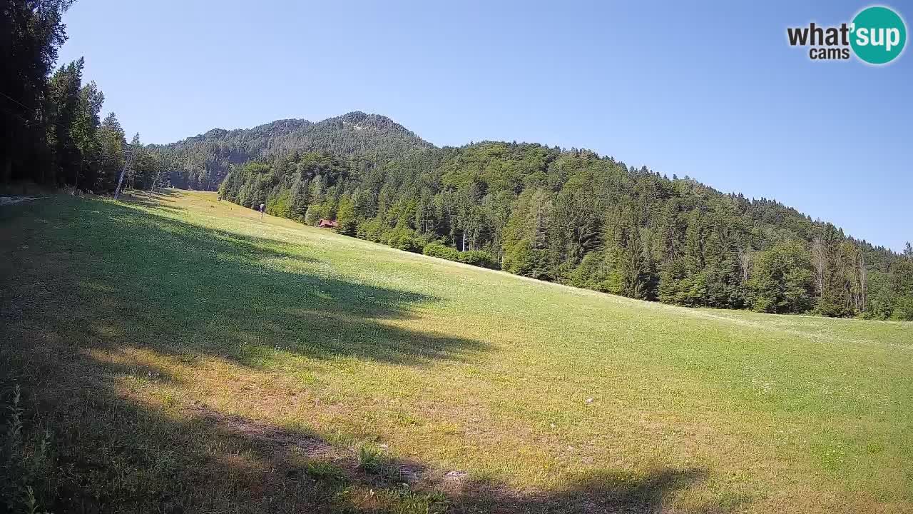 Comprensorio sciistico Kranjska Gora | Brsnina