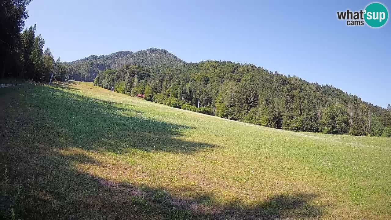 Kranjska Gora SKIJANJE | Brsnina