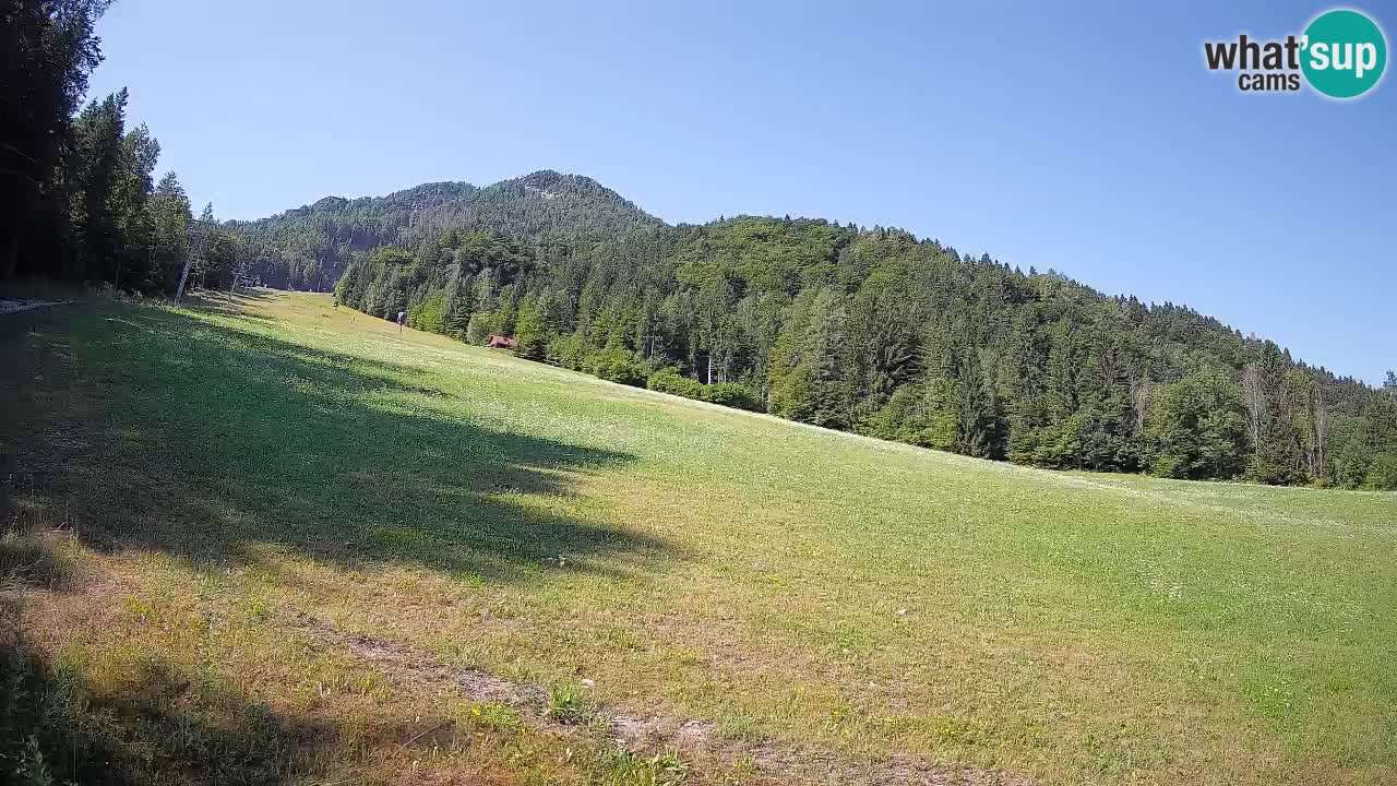 Esquí Kranjska Gora | Brsnina