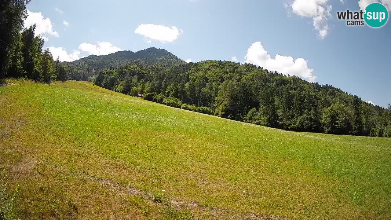 Esquí Kranjska Gora | Brsnina