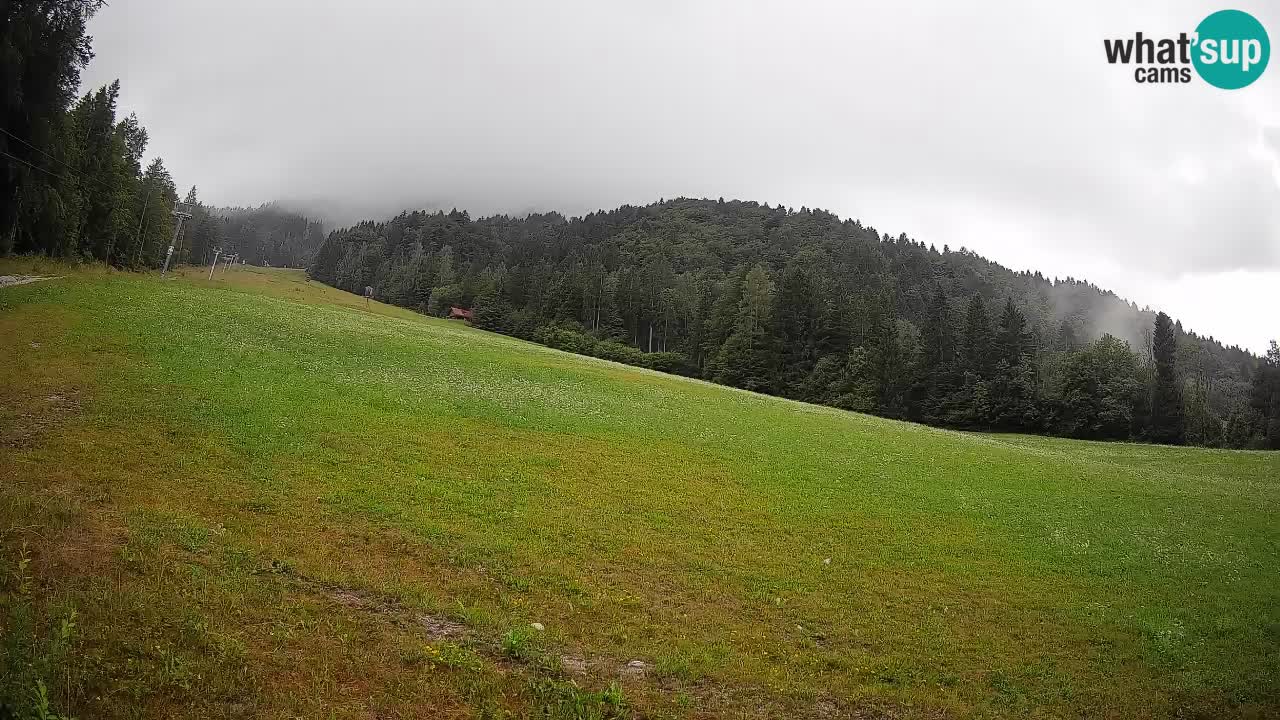 Ski Kranjska Gora | Brsnina