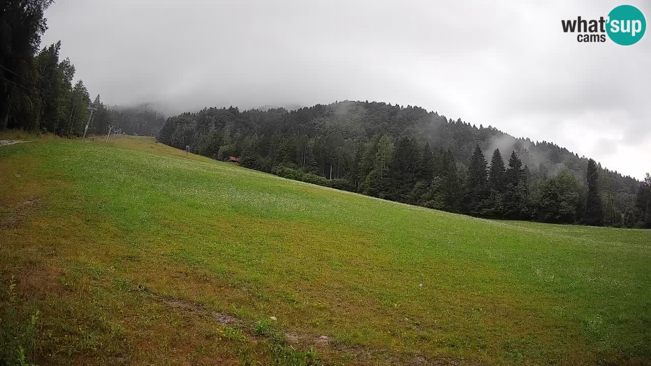 Comprensorio sciistico Kranjska Gora | Brsnina