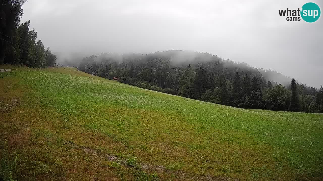 Kranjska Gora Station de ski | Brsnina