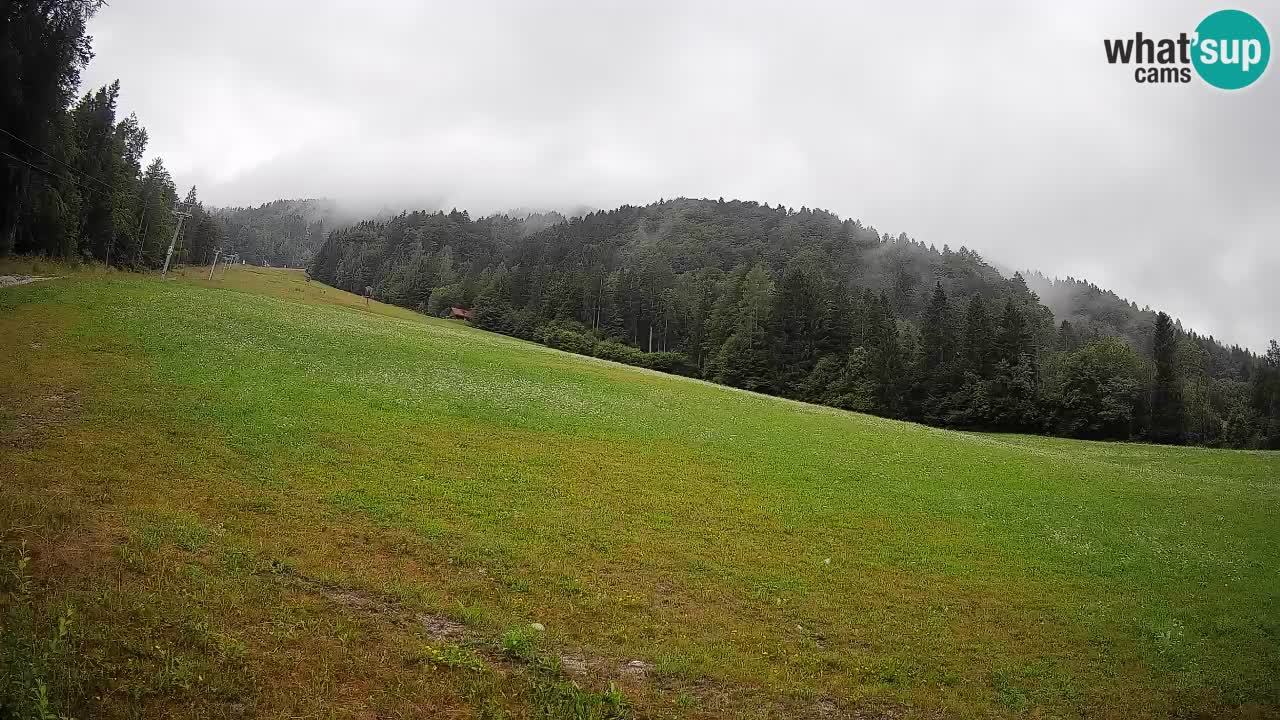 Ski Kranjska Gora | Brsnina