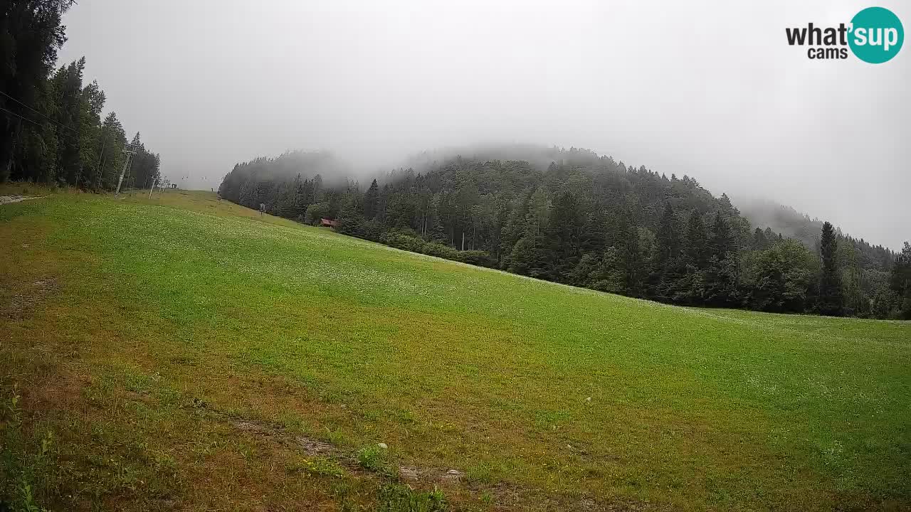 RTC Skigebiet Kranjska Gora | Brsnina