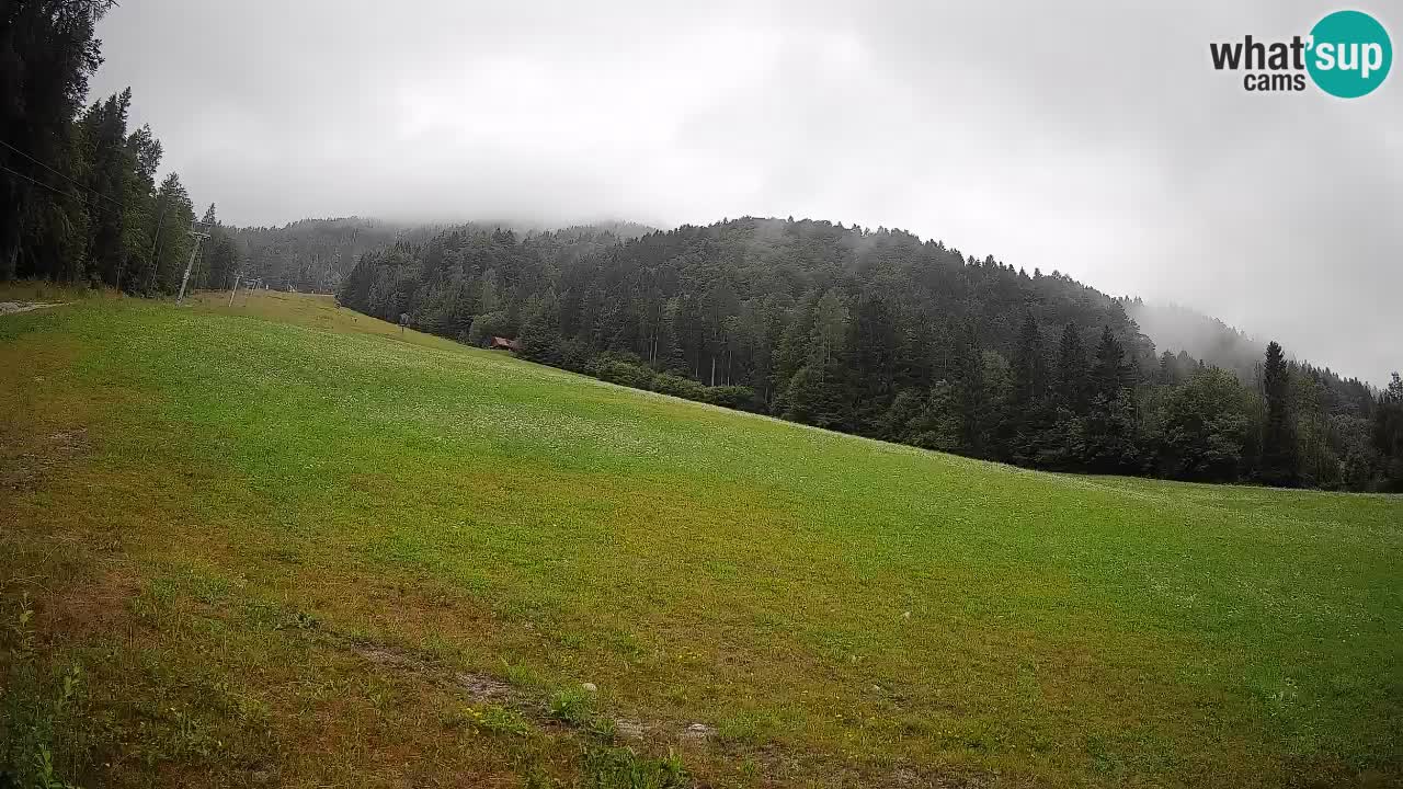 RTC Skigebiet Kranjska Gora | Brsnina