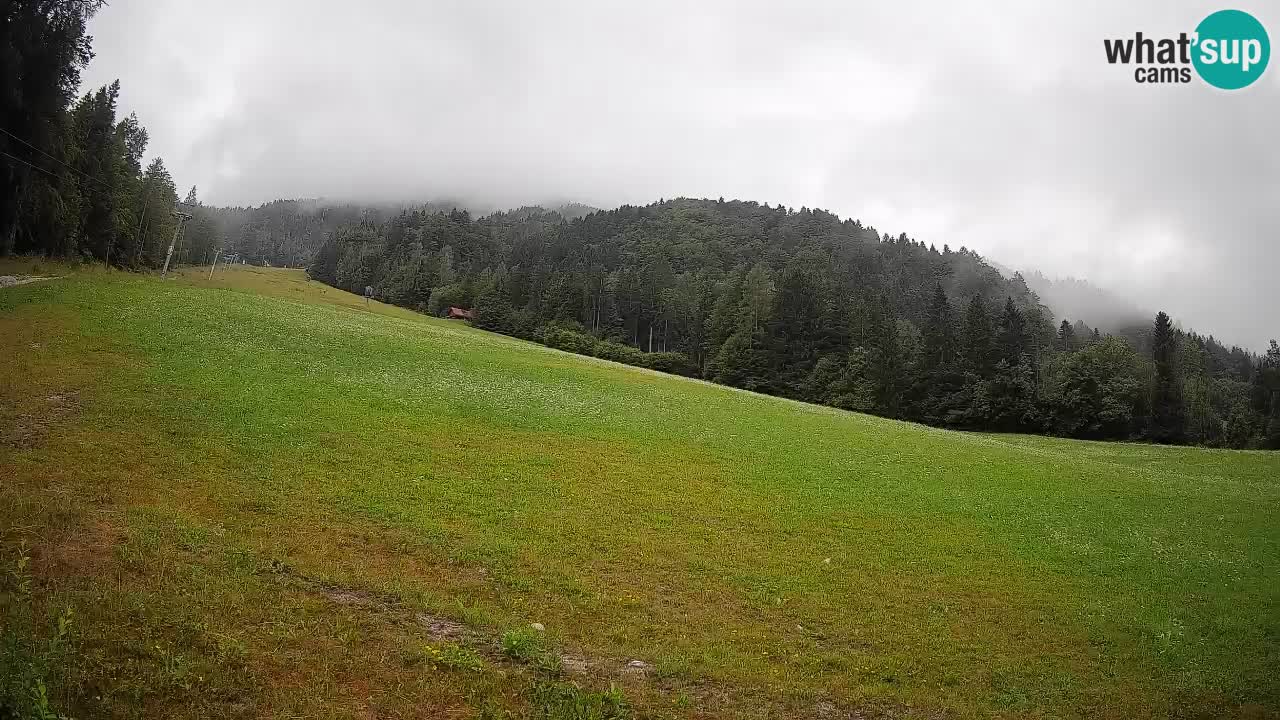 RTC Kranjska Gora | Brsnina