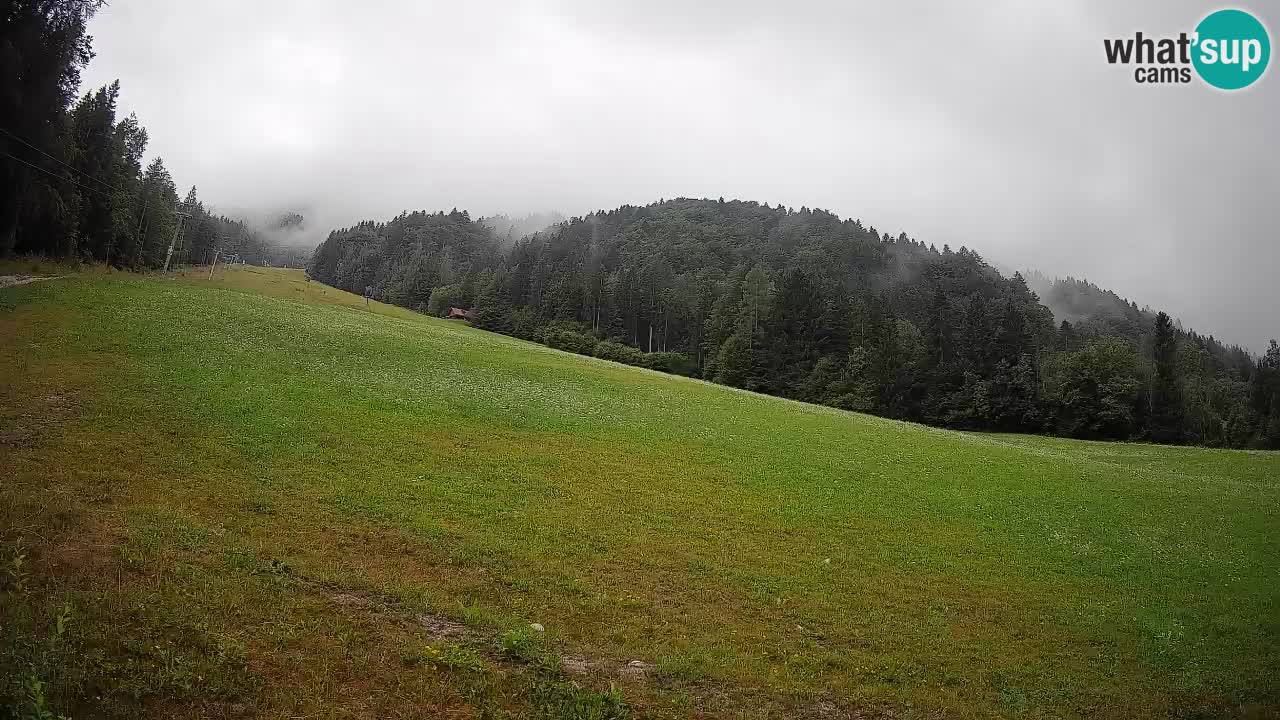 Kranjska Gora Station de ski | Brsnina