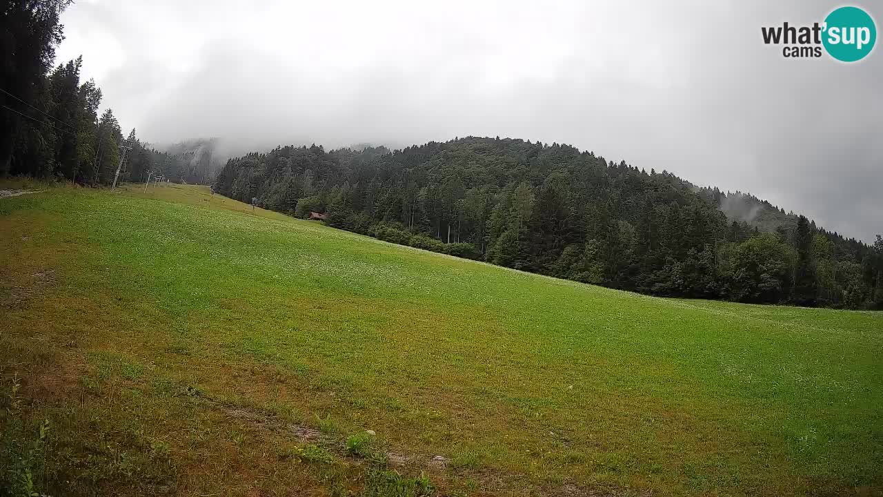 Comprensorio sciistico Kranjska Gora | Brsnina