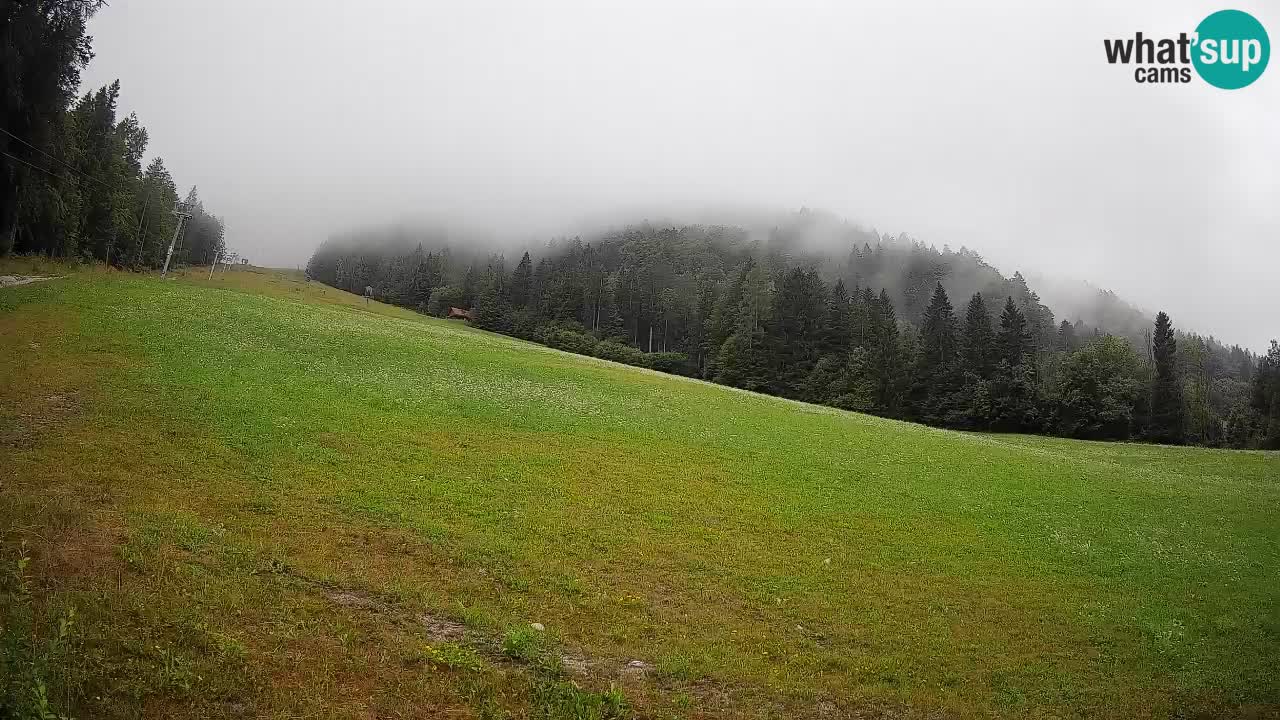 RTC Skigebiet Kranjska Gora | Brsnina
