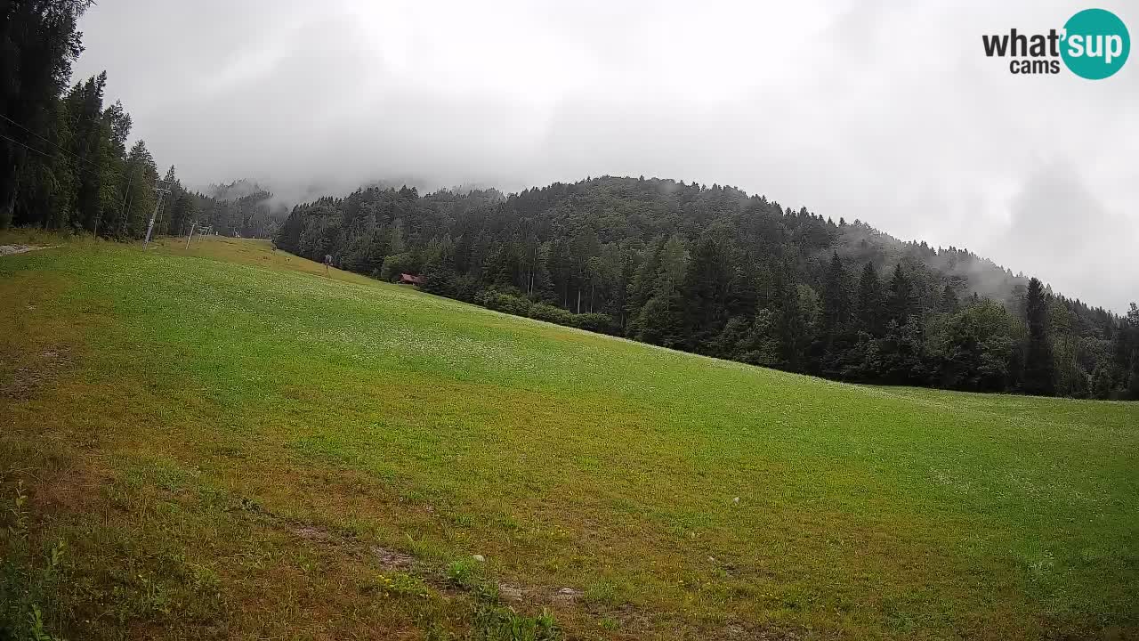 RTC Skigebiet Kranjska Gora | Brsnina