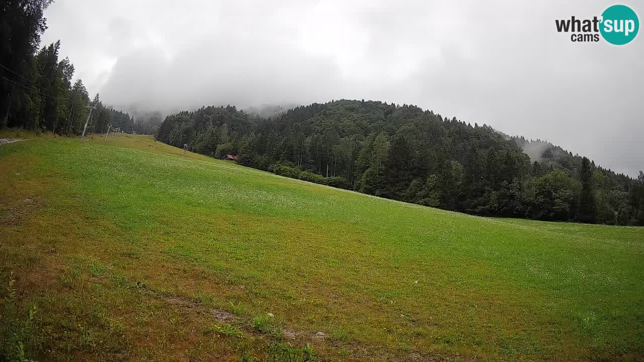 Kranjska Gora Station de ski | Brsnina