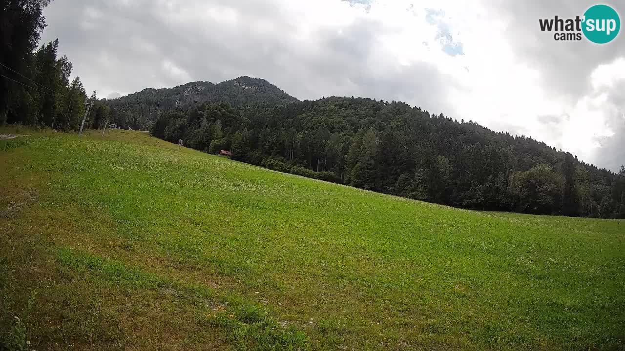 Ski Kranjska Gora | Brsnina