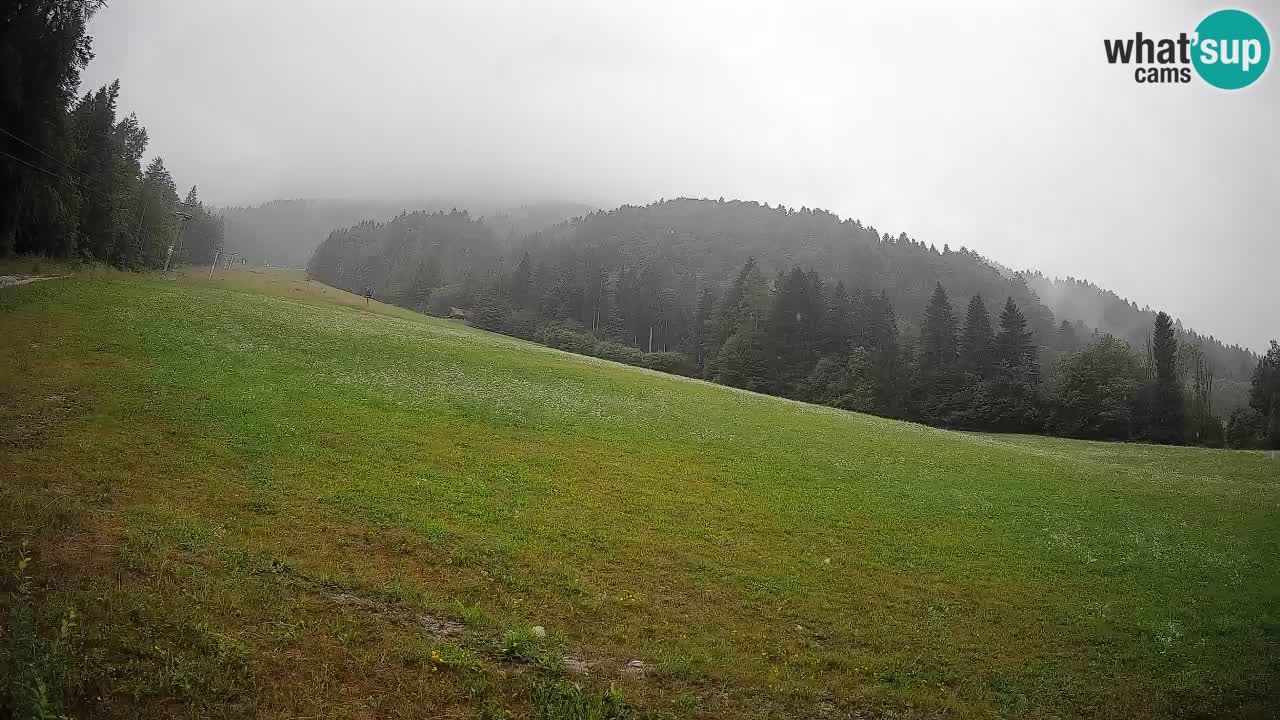 Kranjska Gora Station de ski | Brsnina