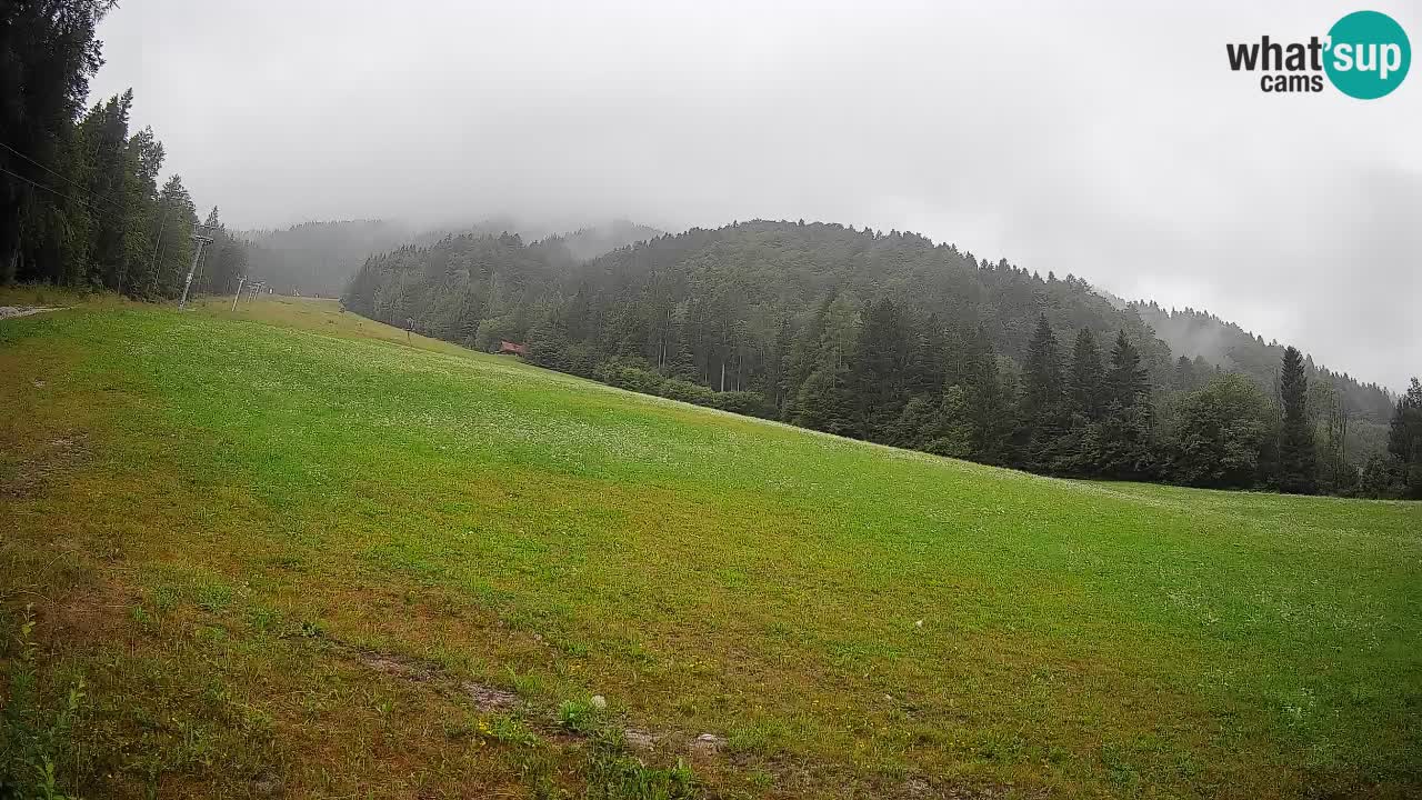 Esquí Kranjska Gora | Brsnina