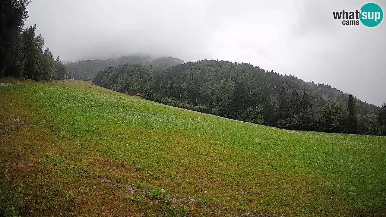 Esquí Kranjska Gora | Brsnina