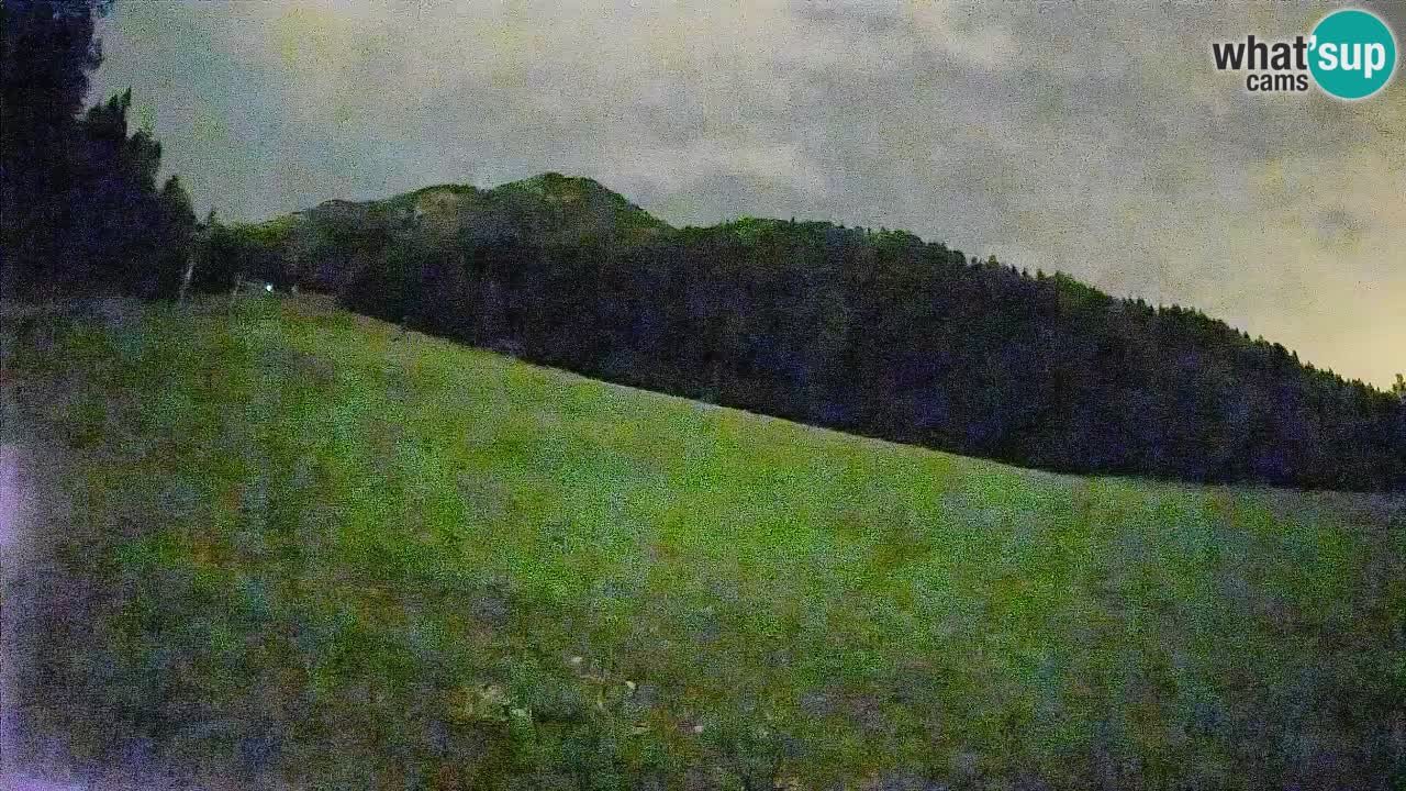 Esquí Kranjska Gora | Brsnina